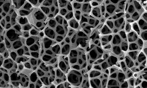 Material Science & Engineering